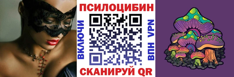 дарнет шоп  Бокситогорск  Галлюциногенные грибы мицелий 