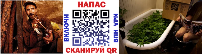 Бошки Шишки план  kraken ССЫЛКА  Бокситогорск  магазин продажи  